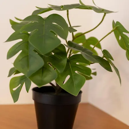 Motel Brezov Kot Rajec